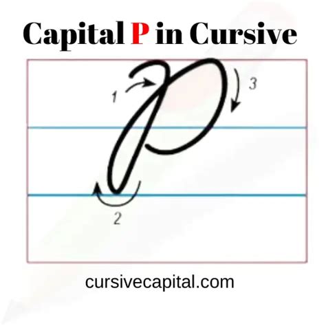 Capital P In Cursive Worksheet And Tutorial