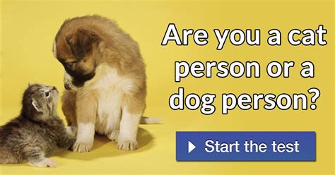 Are You A Cat Person Or A Dog Person