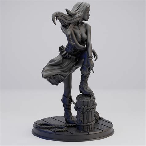 Hot Goblin マリーナA 海賊フィギュア ホットゴブリン TRPG