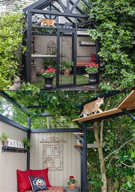 Diy Cat Enclosure, Outdoor Pet Enclosure, Cat Playground Outdoor ...