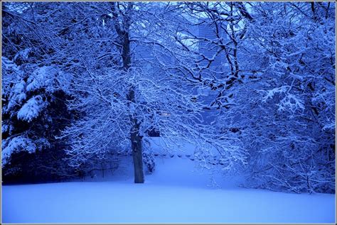 Early Morning Blue Hour Through A Back Window After A Rece Flickr