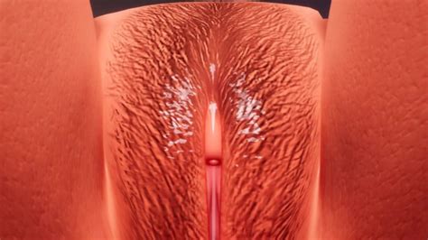 POV Lesbian Sexy Pussy Licking Showroom K