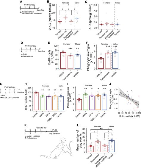 Microglial Phagocytosis Of Newborn Cells Is Induced By Endocannabinoids And Sculpts Sex
