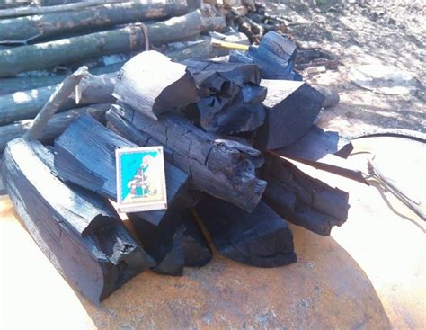 Древесный уголь своими руками: дешевая, простая и эффективная ...