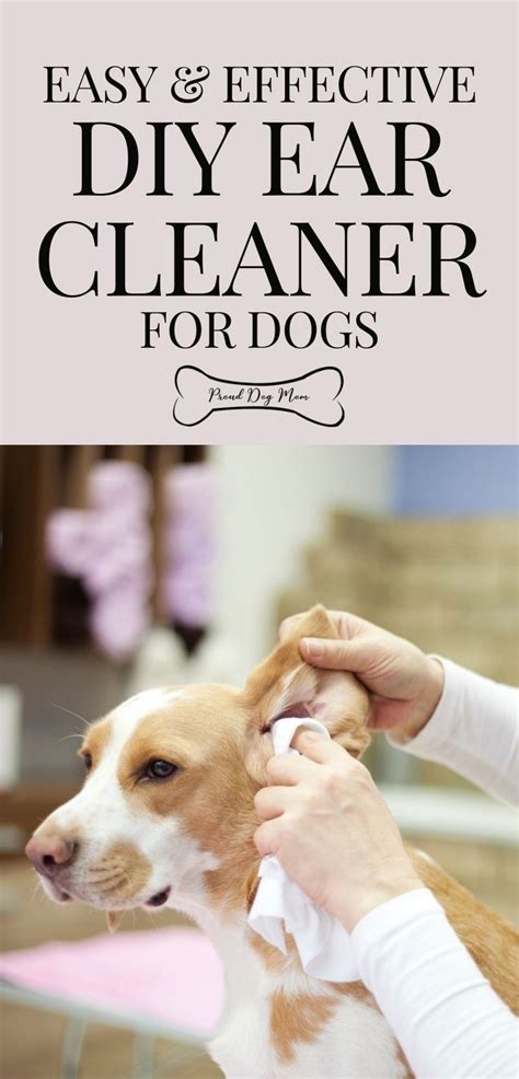 Easy effective diy ear cleaner for dogs – Artofit