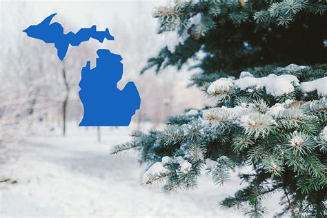 2 Michigan Cities Named Prettiest Towns to Visit in Winter