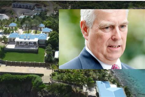 Prince Andrew In Pool ‘foreplay On Epstein Island Netflix Film Claims