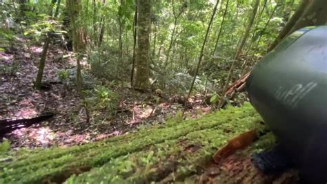 Hiking And Masturbating Part Pornhub Gay