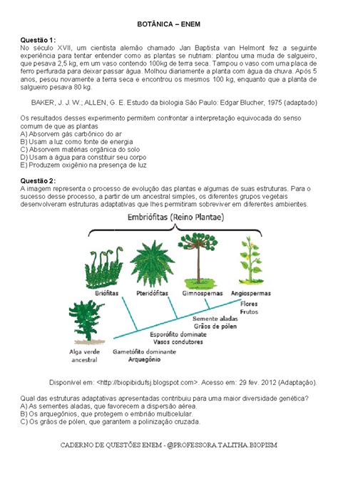 Botanica – ENEM - Atividades de vestibular - BOTÂNICA – ENEM Questão 1 ...