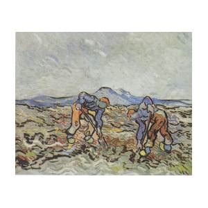 Peasants Lifting Potatoes Painting By Vincent Van Gogh Fine Art America