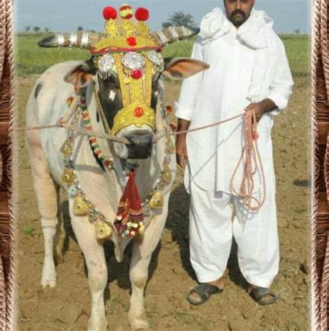 kro  al kala tofan brpor al karah pakharchakwalkra pk