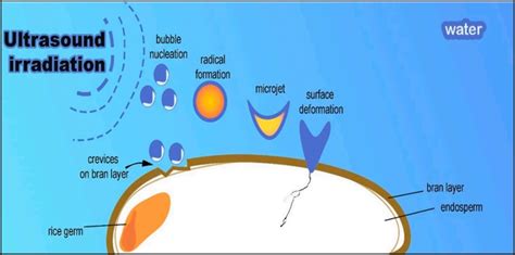 Fortified Rice - Prototypes for Humanity