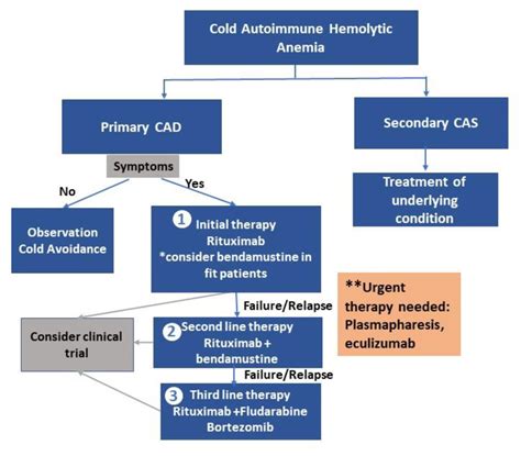 Treatment Algorithm For Cold Agglutinin Disease CAD Cold Agglutinin