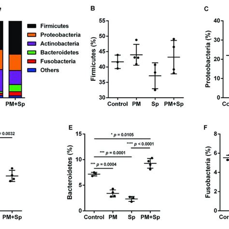 Relative Abundance Of Bacterial Phyla In Mice Exposed To Pm And