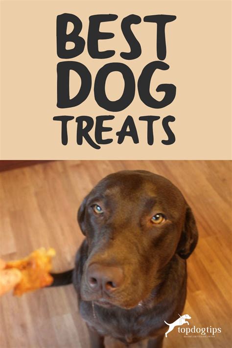 13 Best Healthy Dog Treats Of 2024 All Natural And Organic