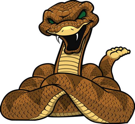 Royalty Free Rattlesnake Clip Art, Vector Images & Illustrations - iStock