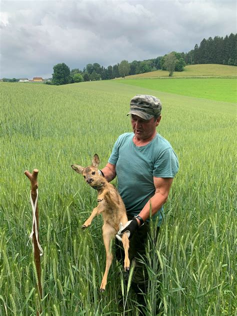 Bezirk Rohrbach Gemeinsam Schützen Jäger Und Landwirte Den