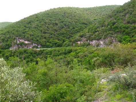 Carretera Vieja Rioverde A Slp Sierra De Lvarez M X Flickr