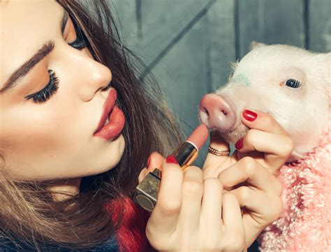 How To Put Lipstick On A Pig Holmes And Co Advertising