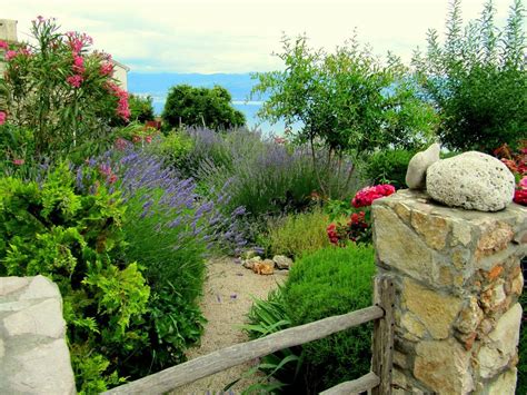 Mediterranean Gardens - Dear Plants