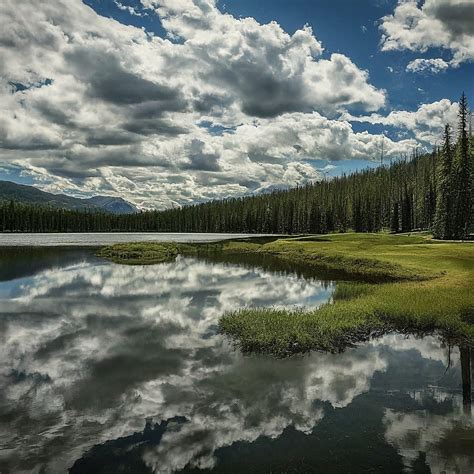 Pine Lake Your 1 Source For Worldwide Lake Fun