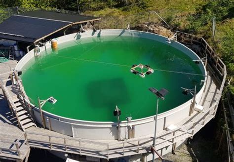 Ballast water testing | NIVA