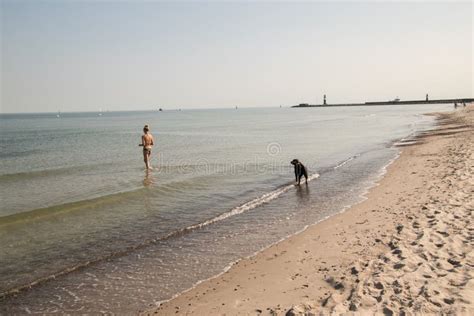 Muchacha En El Bikini Que Juega Con Su Perro En La Playa Imagen Editorial Imagen De Azul