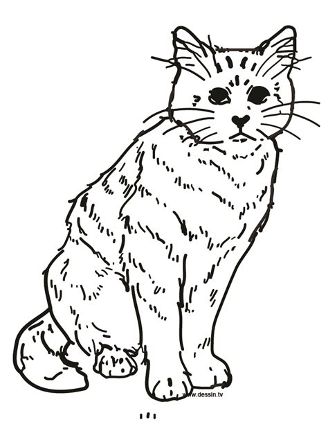 Dessins De Coloriage Chat Imprimer Sur Laguerche Page