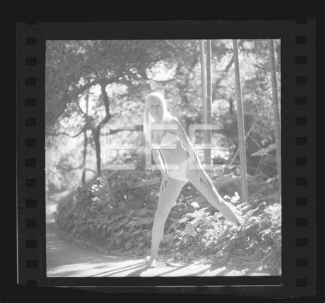 Liv Lindeland Bikini Playboy Playmate Model Harry Langdon Negative W Rights R