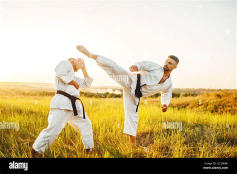 karate fighters kick   stomach  action training fight