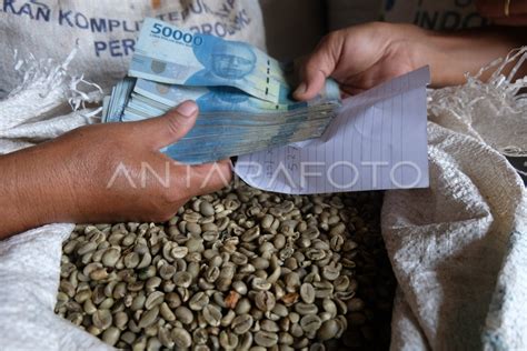 Harga Kopi Robusta Melonjak Antara Foto