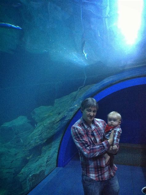 Plymouth Aquarium Review | Sparkles and Stretchmarks: UK Mummy ...