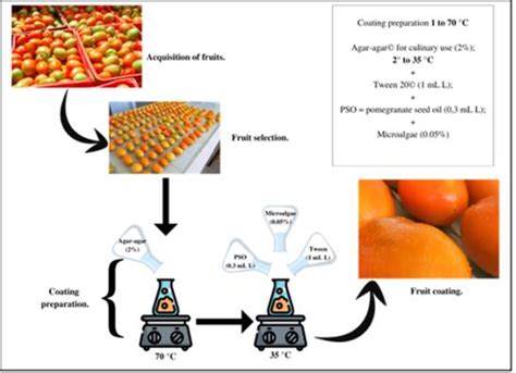 SciELO Brasil Edible Coating With Microalgae And Modified Atmosphere