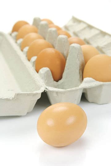 Vagina Female Hole Organ Vector Vagina Female Organ PNG And Vector With Transparent