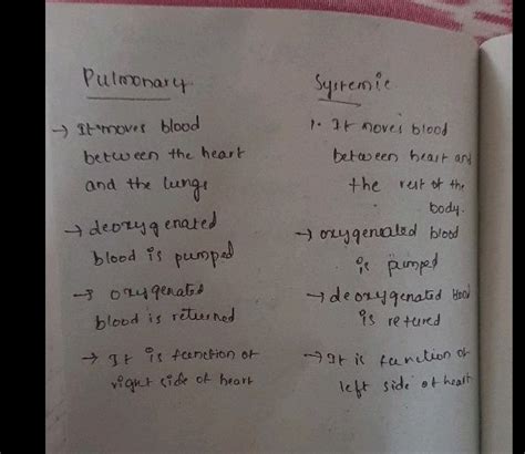 Differentiate In Four Points Between Pulmonary Circulation And Systemic