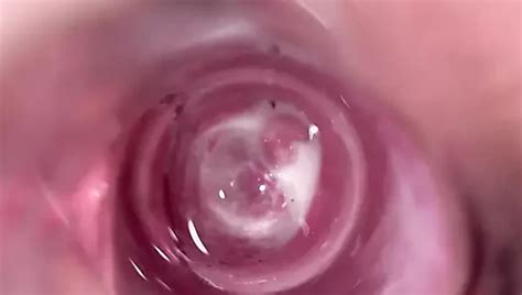 Meine Frau Mit Einer Kamera In Ihrer Vagina Ficken XHamster