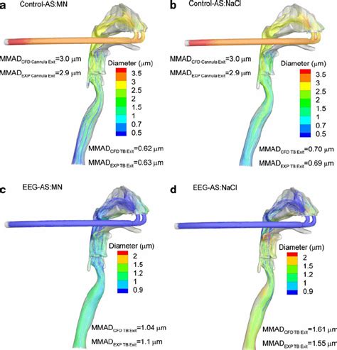 CFD Predictions Of Aerosol Particle Trajectories Colored According To