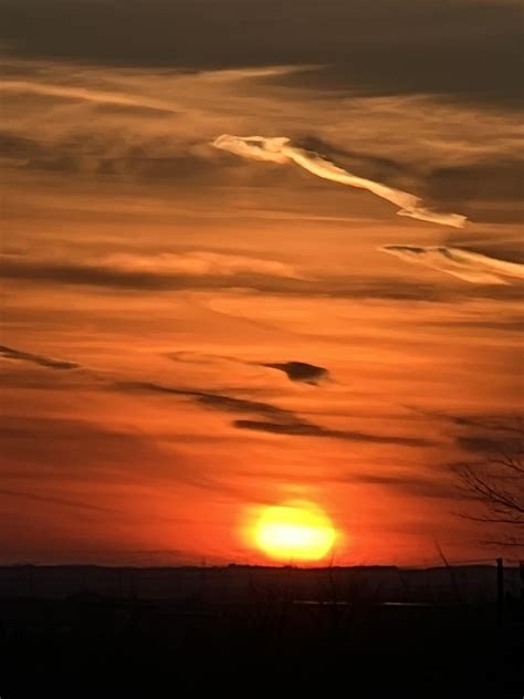 Can you believe this came straight off my iPhone : r/pics