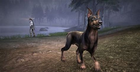 'Fable 3' DLC 'Dog Breed Set' Meets The American Kennel Club