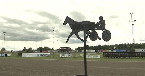 Travprofil hade sex med häst blev utpressad på en halv miljon SVT Nyheter