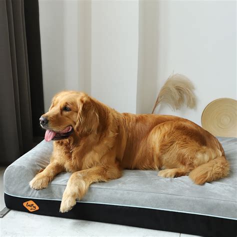 Extra-Large Double Pillow Orthopedic Dog Bed – Dog Quality