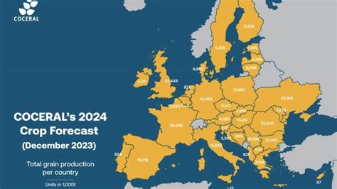 Previziunile COCERAL pentru 2024 Producția de cereale din UE va scădea