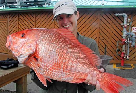 Florida Governor Ron DeSantis announces 2021 Gulf Red Snapper season