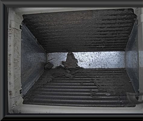 Ac Evaporator Coil Dirty at Floyd Slemp blog