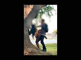 Outside Sex ShesFreaky