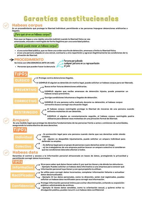 Garantías Constitucionales Agustina Cisterna uDocz