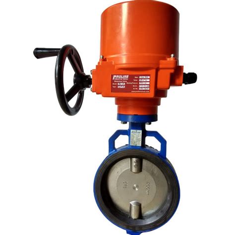 Electrically Operated Valves Manufacuturer Exporter Proline Valves