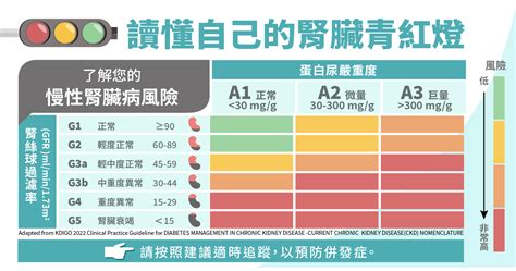 民報 Taiwan People News 【民報醫筆記】讀懂自己的腎臟青紅燈