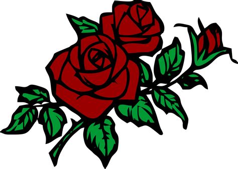 Red Rose Branch Drawing With Black Outline No Background Isolated