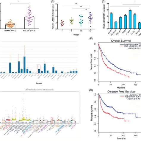 Linc01354 Was Upregulated In Lung Cancer A Qrt Pcr Was Used To